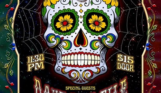CONCERT POSTERS